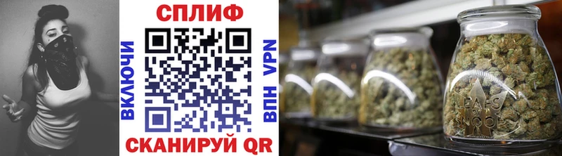 Виды наркотиков купить Шадринск Alpha-PVP Меф мяу мяу Кокаин