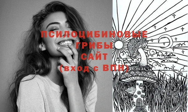 apvp Абинск