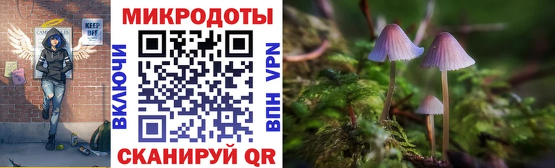 Псилоцибиновые грибы мицелий нарко площадка официальный сайт Шадринск