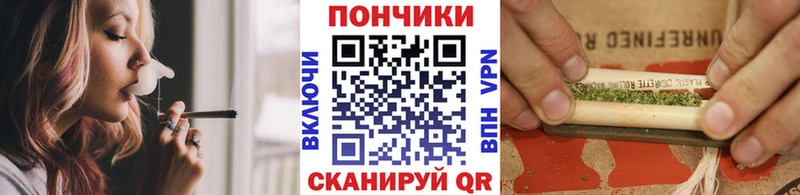 Бошки марихуана марихуана Шадринск